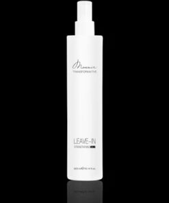 Mounir Spray Leave-in Transformativ 300ml